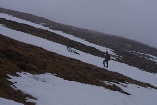 Thanks Laura! Thanks Laura!